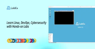  LabEx